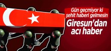 Gün geçmiyor ki, Şehit haberi gelmesin! Giresun’dan acı haber