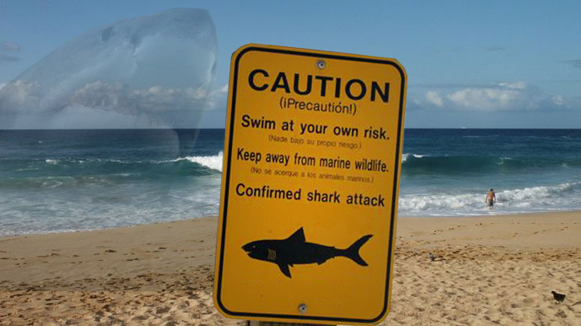 Avustralya’da köpekbalığının saldırdığı kadın kurtarılamadı