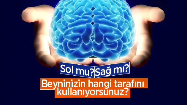 Beyninizin hangi tarafını kullanıyorsunuz?