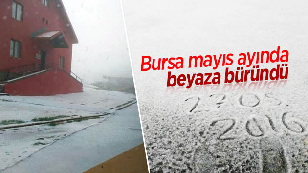 Bursa mayıs ayında beyaza büründü