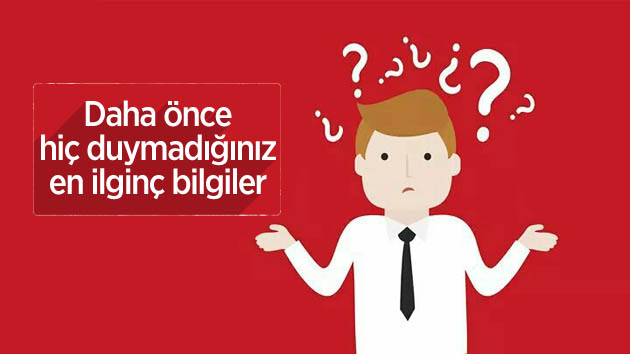 Daha önce hiç duymadığınız en ilginç bilgiler