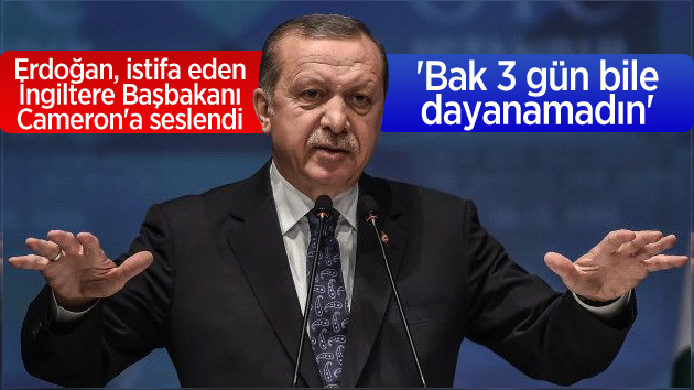 Erdoğan, Cameron’a bu sözlerle yüklendi