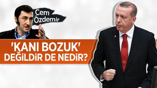 Erdoğan’dan Cem Özdemir’e Sert Çıkış