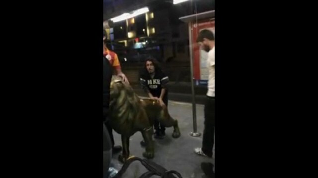 Florya'dan aslanı söküp metrobüsle götürdüler!