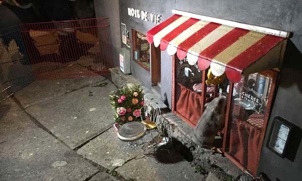 İsveç’te fareler için minik dükkan açıldı