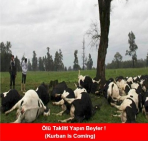 Kahkahalara boğulacağız en komik bayram capsleri