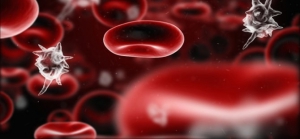 kanda-mikrop-sepsis