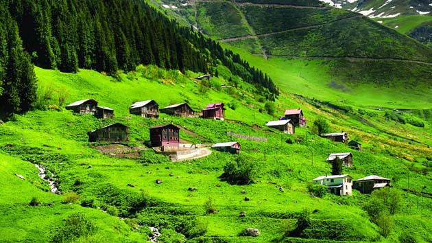 Karadeniz Bölgesi’nde Yetişen Tarım Ürünleri Nelerdir?