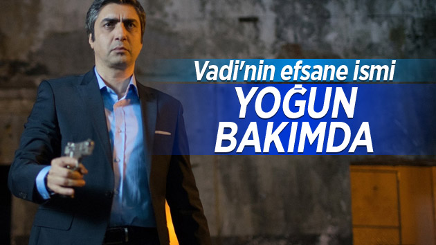 kuzey vargin yogun bakimda