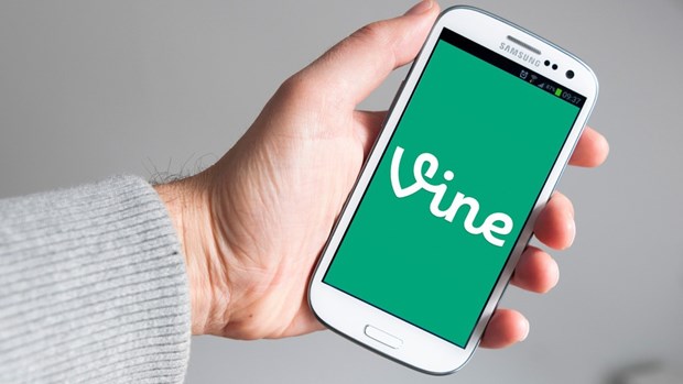 vine_1