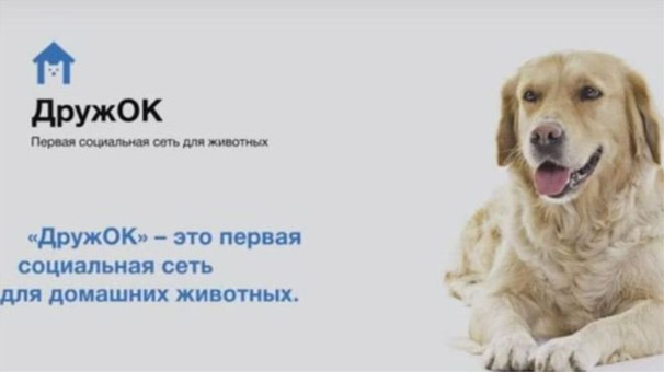 Rusya’da köpeklere Facebook açılacak