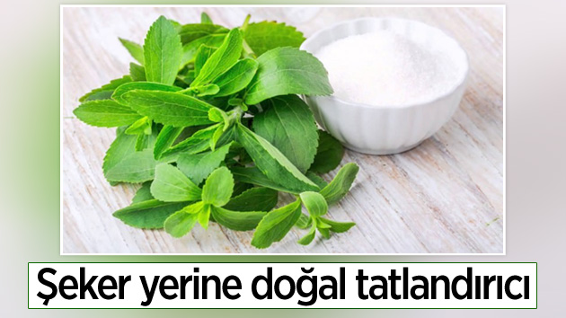 Şeker yerine doğal tatlandırıcı