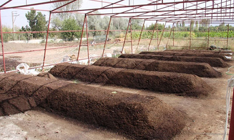 Solucan gübresi nedir? Neden kullanılmalıdır?